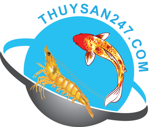 Truyền Thông Thủy Sản 247